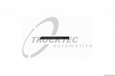 TRUCKTEC AUTOMOTIVE 0252117 -  Облицовка / защитная накладка, дверь